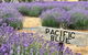 Kangaroo Island Food And Wine Trail Tour - thumb 0