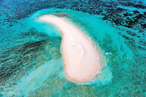 Private Coral Cay Bubbles Tour - VIC Tourism 3