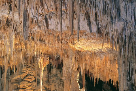 Margaret River, Caves, Wine And Cape Leeuwin Lighthouse Tour From Perth - VIC Tourism 3