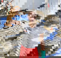 Pinnacles Desert Koalas and Sandboarding 4WD Day Tour from Perth - VIC Tourism