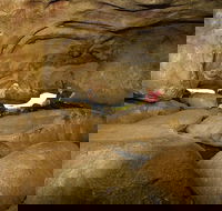 2-Day Wave Rock York Wildflowers  Aboriginal Experience - VIC Tourism