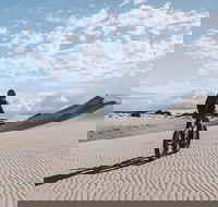 2-Hour Electric Fat Bike Tour in Kangaroo Island - VIC Tourism