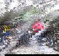 2 Hour Bike Tour in Kangaroo Island - VIC Tourism