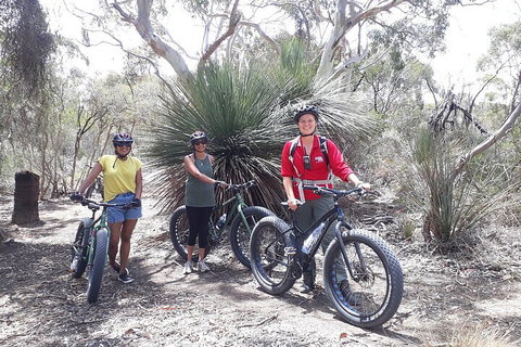 2 Hour Bike Tour In Kangaroo Island - VIC Tourism 0