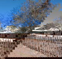 Private Cultural and Historical Painted Desert Tour in Hermannsburg - VIC Tourism