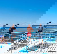 Calypso Outer Great Barrier Reef Cruise from Port Douglas - VIC Tourism