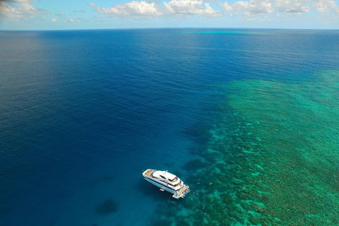 Great Barrier Reef Snorkeling And Diving Cruise From Cairns - VIC Tourism 4