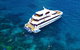 Great Barrier Reef Snorkeling And Diving Cruise From Cairns - thumb 5
