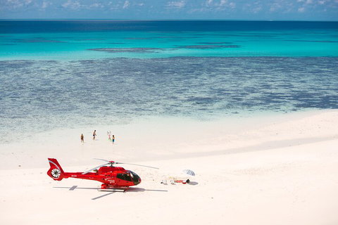Private Helicopter Tour: Reef Island Snorkeling And Gourmet Picnic Lunch - VIC Tourism 2