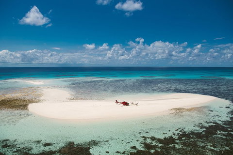 Private Helicopter Tour: Reef Island Snorkeling And Gourmet Picnic Lunch - VIC Tourism 4