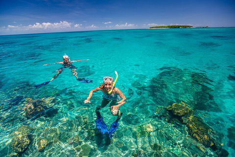 Fly To Green Island - Cruise Return - VIC Tourism 4