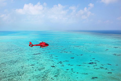 Port Douglas - Cruise And 10 Minute Scenic Flight - VIC Tourism 1