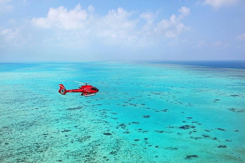 Ultimate Great Barrier Reef And Rainforest 45-minute Helicopter Tour - VIC Tourism 2