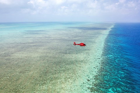 Ultimate Great Barrier Reef And Rainforest 45-minute Helicopter Tour - VIC Tourism 5
