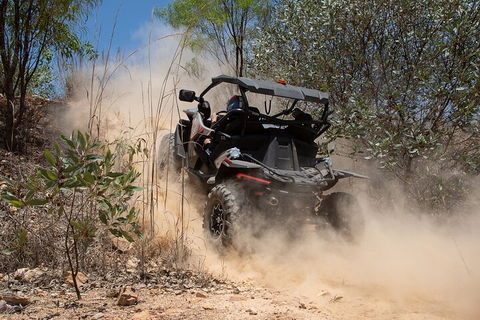 License To Thrill: 1.5 Hour Off-road Tour In Darwin (1 Person: 2 Seater Vehicle) - VIC Tourism 3