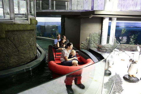 Sydney Attractions Pass: SEA LIFE Aquarium, Sydney Tower Eye, WILD LIFE Zoo And Madame Tussauds - VIC Tourism 0