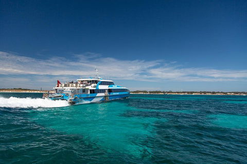 Perth To Rottnest Island Roundtrip Ferry Ticket - VIC Tourism 4
