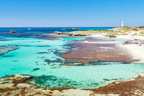 Rottnest Island Bayseeker Day Trip From Perth - VIC Tourism 4
