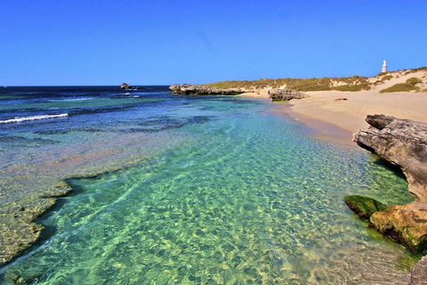 Rottnest Island Bayseeker Day Trip From Perth - VIC Tourism 5