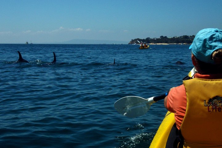  VIC Tourism