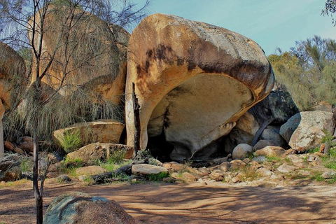 Wave Rock Half Day Air & Ground Tour - VIC Tourism 1