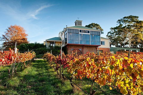 Adelaide Hills Food, Wine, Cheese, & Chocolate - Private Day Tour - VIC Tourism 3