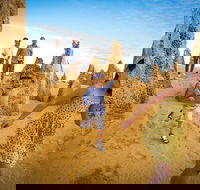 Full-Day Pinnacles Desert and Yanchep National Park Tour From Perth - VIC Tourism