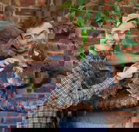 Private Tour Blue Mountains Day Trip from Sydney - VIC Tourism