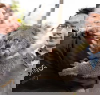 Bonorong Wildlife Park and Richmond Afternoon Tour from Hobart - VIC Tourism