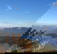 Blue Mountains Unique Small-Group Day Adventure with BBQ Lunch - VIC Tourism