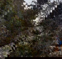 kunanyi / Mt. Wellington Guided Hiking Tour - VIC Tourism