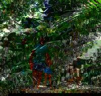 Full Day Daintree Rainforest and Mossman Gorge Tour - VIC Tourism