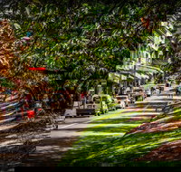 Fully Inclusive Blue Mountains Private Tour inc Scenic World  Featherdale entry - VIC Tourism