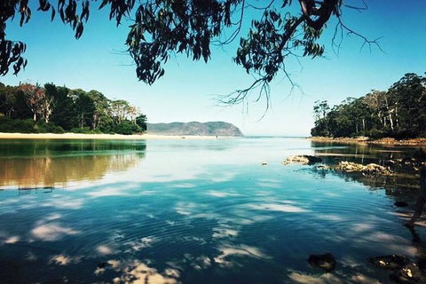 Full-Day Guided Bruny Island Tour From Hobart - VIC Tourism 1