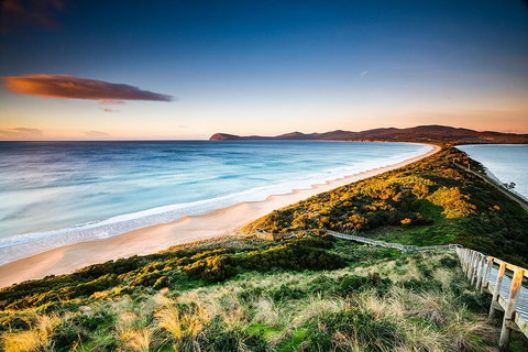 Full-Day Guided Bruny Island Tour From Hobart - VIC Tourism 2