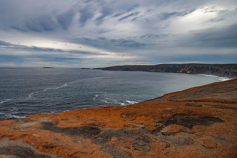 Kangaroo Island Luxury Small Group 'Flinders Chase Focus' Full Day Tour - VIC Tourism 0