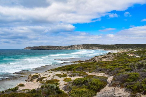 Kangaroo Island Luxury Small Group 'East End Explorer' Full Day Tour - VIC Tourism 0