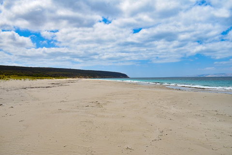 Kangaroo Island Luxury Small Group 'East End Explorer' Full Day Tour - VIC Tourism 3