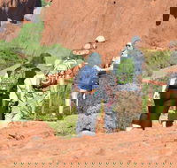 Afternoon Kata Tjuta Small Group Tour - VIC Tourism