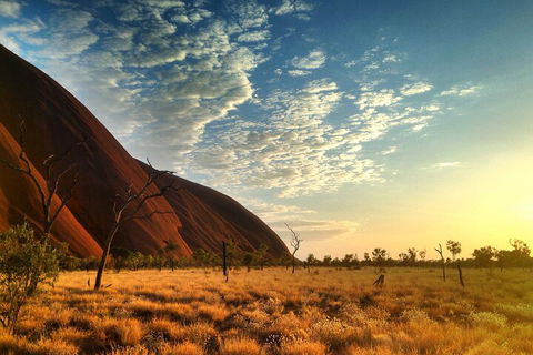 Highlights Of Uluru Including Sunrise And Breakfast - VIC Tourism 0