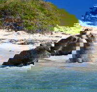 Dolphin Penguin and Sea Lion Cruise - VIC Tourism