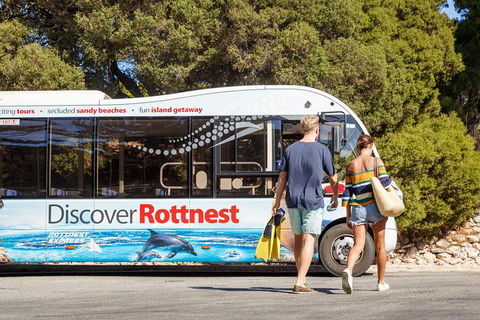 Discover Rottnest With Ferry & Bus Tour From Perth Or Fremantle - VIC Tourism 1