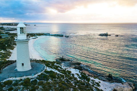 Discover Rottnest With Ferry & Bus Tour From Perth Or Fremantle - VIC Tourism 2