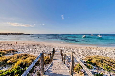 Discover Rottnest With Ferry & Bus Tour From Perth Or Fremantle - VIC Tourism 4