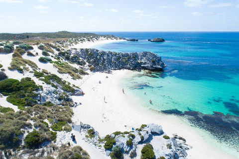 Discover Rottnest With Ferry & Bus Tour From Perth Or Fremantle - VIC Tourism 5