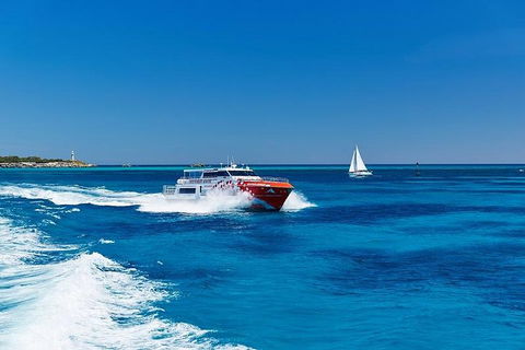 Rottnest Island Round-Trip Ferry From Perth Or Fremantle - VIC Tourism 4