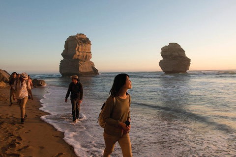 Full-Day Great Ocean Road And 12 Apostles Sunset Tour From Melbourne - VIC Tourism 4
