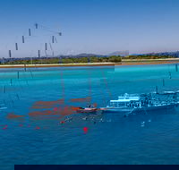 Ocean Free Green Island  Great Barrier Reef Snorkel Cruise Cairns 25 guests - VIC Tourism
