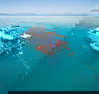 Ocean Freedom Great Barrier Reef Personal Luxury Snorkel  Dive Cruise Cairns - VIC Tourism