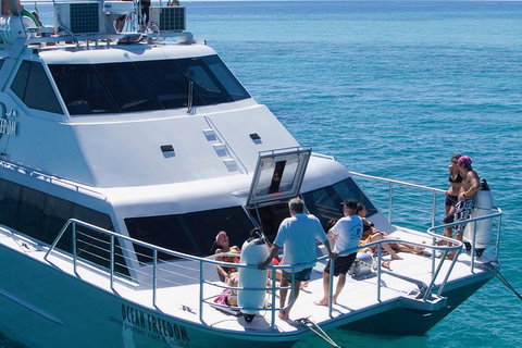 Ocean Freedom Great Barrier Reef Personal Luxury Snorkel & Dive Cruise, Cairns - VIC Tourism 1
